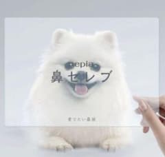 鼻セレブ　愛でたい鼻展　下敷き4枚のサムネイル