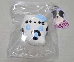동동 점점 스퀴즈 귀신 흰 고양이