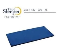 ミニ　トゥルースリーパー　ごろ寝マット2個セットのサムネイル