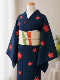 お買得】夏着物と夏帯セット 小紋 普段着 夏コーデ 絽 着丈152