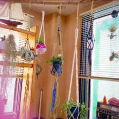 プラントハンガーのサムネイル