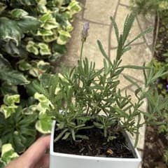 【キョウ様ご確認用】のサムネイル