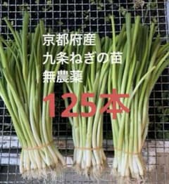 京都府産 無農薬 九条ねぎの苗 125本 - メルカリ