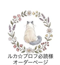 ルカ☆プロフ必読様✮ 専用ページ❀ 羊毛フェルト 笹かま猫ちゃんキーホルダー✮* 羊毛フェルト 猫 ルカ☆プロフ必読様オーダーページ - メルカリ