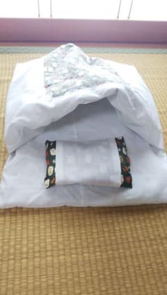 ⚠️外出自粛割引中⚠️ネコのオフトゥンのサムネイル