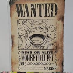 원피스 30억 루피 WANTED 신사황수배서 컴플리트 세트
