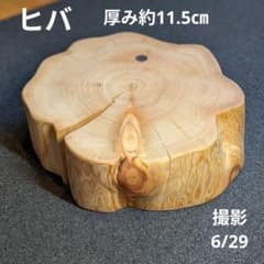 天然ヒバ　切り株　丸太　輪切り　厚み約11.5㎝ 天然ヒバ 切り株 丸太 輪切り 厚み約11.5㎝ - メルカリ