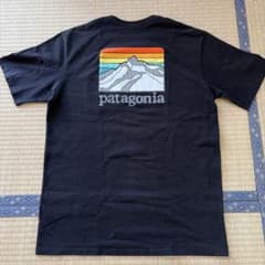 Patagonia パタゴニア Tシャツ ブラックのサムネイル
