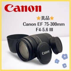 ⭐️美品⭐️Canon EF 75-300mm F4-5.6 III 望遠レンズのサムネイル
