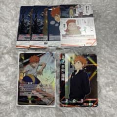 ハイキュー!! バボカ ユース＆選抜強化合宿 日向翔陽 日向夏 頂 R NR