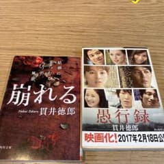 貫井徳郎　崩れる　愚行録　セットのサムネイル