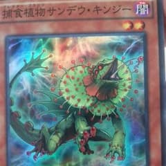 サンデウキンジーのサムネイル