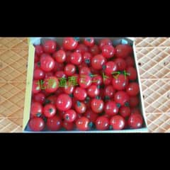 ぺりこ様専用ページのサムネイル