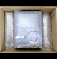 新品未開封 ねんどろいど 『ヱヴァンゲリヲン新劇場版』 渚カヲル