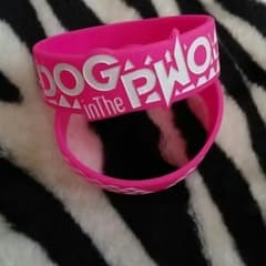 DOGinThePWO ラバーバンド ピンクのサムネイル