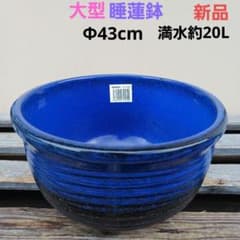 新品　∅50特大　陶器　睡蓮鉢　手造り　メダカ鉢　難有　ラピスブルー　青　LDB 新品 大型 ∅43 陶器 睡蓮鉢 メダカ鉢 手造り ラピスブルー 濃紺 MDB