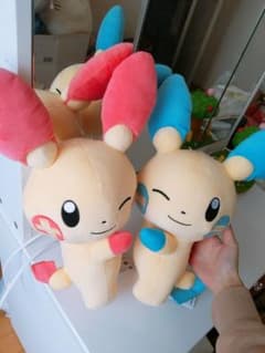 マイナンプラスルのサムネイル