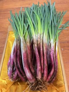 沖縄県産　紫らっきょう　3kgのサムネイル