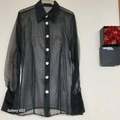 GIANFRANCO FERRE STUDIO シアーブラウスシルクオーガンジー - メルカリ