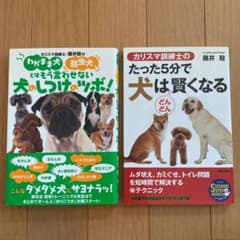 犬のしつけのツボ! : カリスマ訓練士・藤井聡のわがまま犬弱虫犬とはもう言わせ…のサムネイル