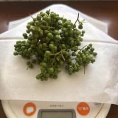 実山椒　100gのサムネイル