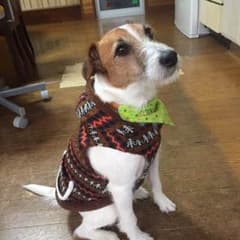kimiさま専用のサムネイル