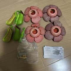 カプセルトイ 巨大花と食虫植物　2セット分のサムネイル