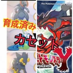 ポケモン y 最終値下げのサムネイル
