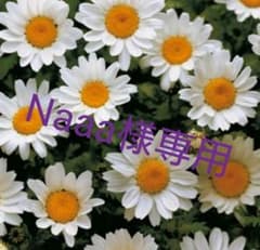 Naaa様専用のサムネイル