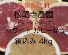 国産グレープフルーツ ルビー ホワイト混合 果物 フルーツ 柑橘類 ビタミンのサムネイル