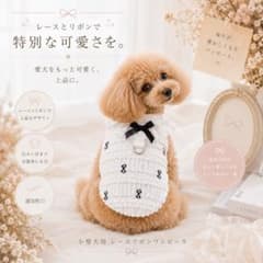 犬服 ペット服 レース ワンピース Dカン付き 小型犬 お出かけのサムネイル