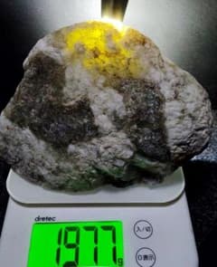 m10357947723_1.jpg?1771325088