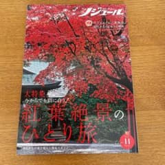 ノジュール　2021.11のサムネイル