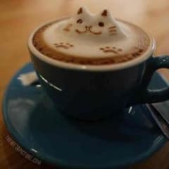カップのサムネイル