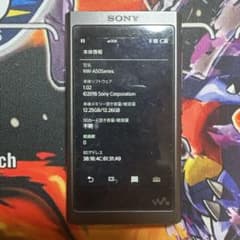 SONY ウォークマン NW-A50 デジタルオーディオプレーヤーのサムネイル