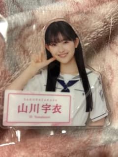 2025年櫻坂46アクリルバッジ(ローソン・HMV限定) 山川宇衣 - メルカリ