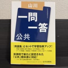 山川 一問一答 公共のサムネイル