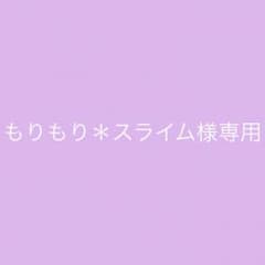 もりもり＊スライム様専用のサムネイル