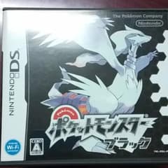 ポケモン　ブラックのサムネイル