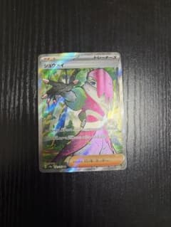 ポケモンカード シュウメイ SRのサムネイル