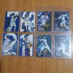 プロ野球チップス横浜DeNAベイスターズ箔押しサイン8枚セット