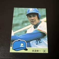 カルビー プロ野球カード 田淵幸一 西武ライオンズ 84年 - メルカリ
