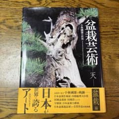 盆栽芸術 天 小林國雄の世界のサムネイル