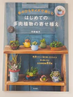 はじめての多肉植物の寄せ植えのサムネイル
