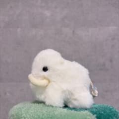 マンモス（ゲリラ出品）のサムネイル