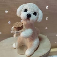 ポン太様☆オーダーページ☆マルチーズ☆のサムネイル