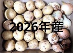 小さめじゃがいも玉ねぎコンパクトBOXのサムネイル