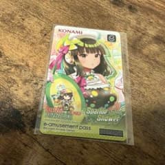 beatmania IIDX e-amusement pass リリナ eパス - メルカリ