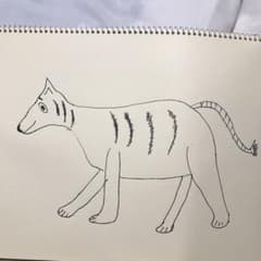 とらの絵のサムネイル