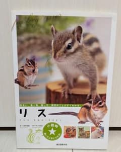 リス THE SQUIRREL 飼育ガイドブックのサムネイル